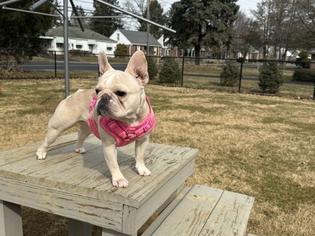 Zoey posing on platform